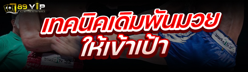 เทคนิคเดิมพันมวย ให้เข้าเป้า