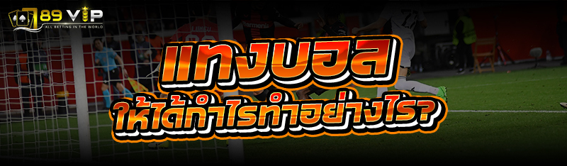 แทงบอล ให้ได้กำไรทำอย่างไร?